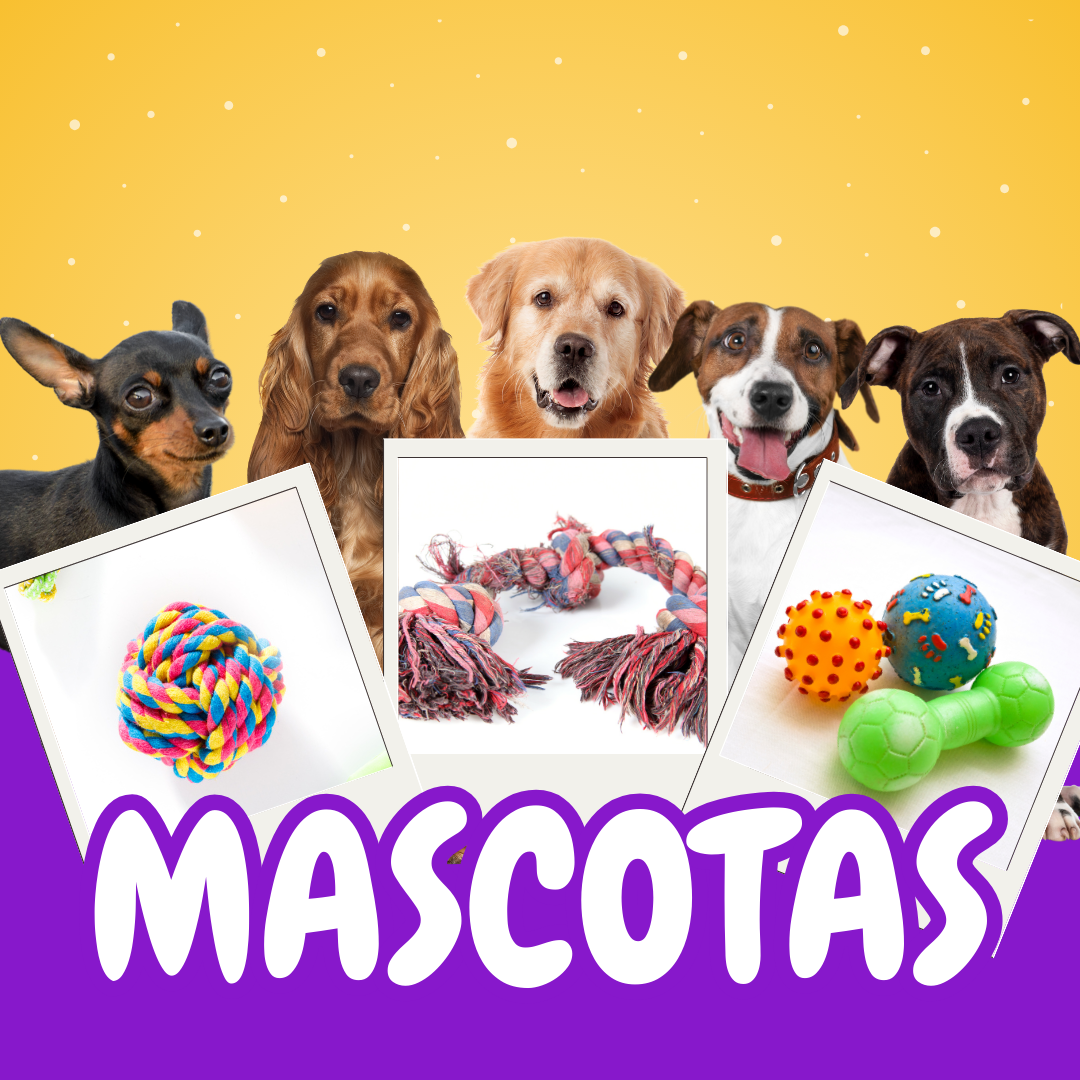 Mascota