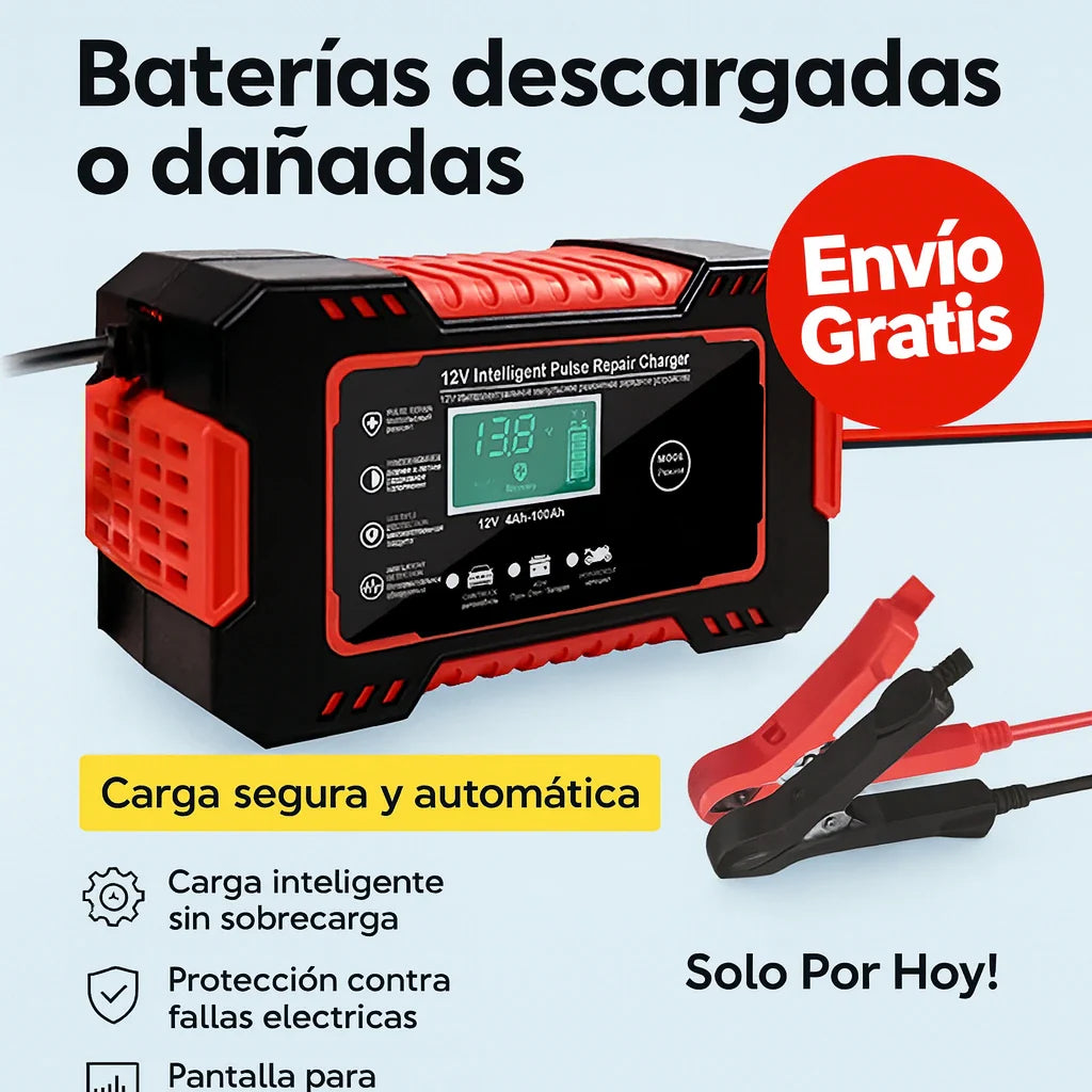 Cargador Inteligente 12 V